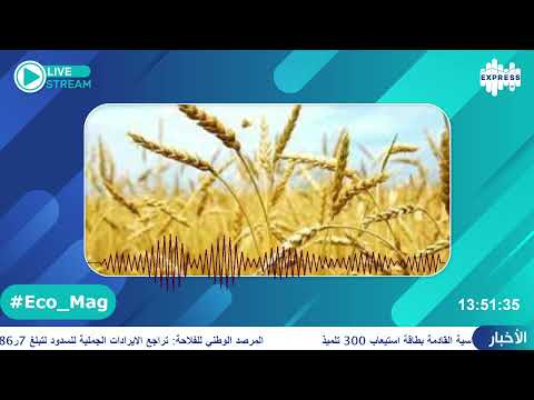 عين على ديوان الحبوب