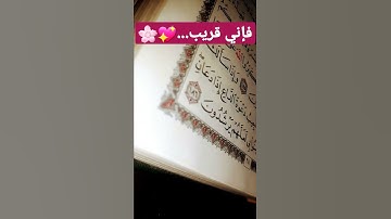 وإذا سألك عبادي عني...💖🌸#تلاوات #قرآن #خشوع #مقاطع_دينية_قصيرة #قران_كريم