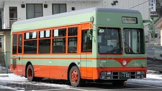 【日光軌道デザインバス】鬼怒川温泉⇔東武日光⇔日光東照宮(世界遺産) 運行中！