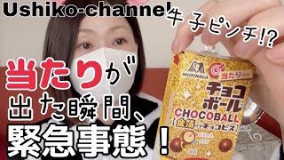 【新発売】当たりつき金のチョコボール！当たりが出た瞬間、緊急事態！【牛】