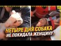 Как собаки помогают спасателям в Турции [ENGLISH SUBTITLE]