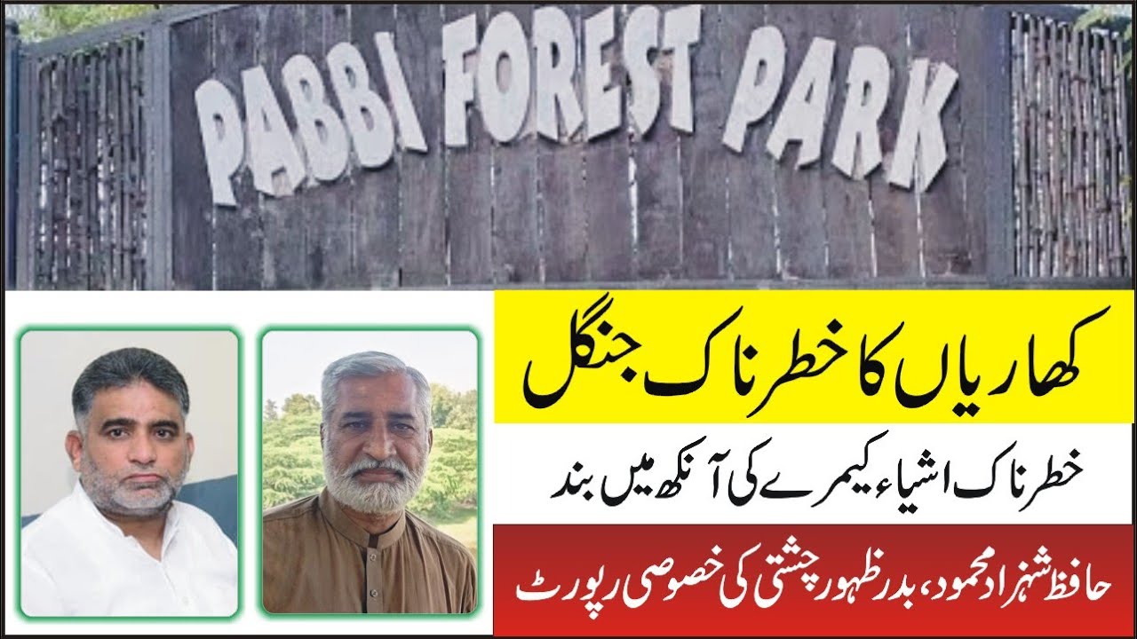 Pabbi Forest Park Khariyan | Kharian Forest | Chashat News Islamabad