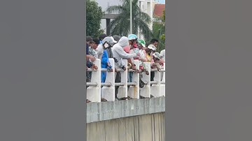 Các Chiến Hữu Câu Cá Đối Ở Cầu Phú Lộc Đà Nẵng | MINH LÊ VLOG