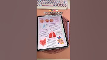how I take aesthetic notes on my iPad ✍️ goodnotes digital note taking | iPad note taking tips