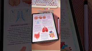 how i take aesthetic notes on my ipad ✍️ goodnotes digital note taking | ipad note taking tips