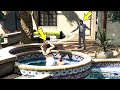 What Do Trevor And Amanda Do In The Pool In GTA 5? (Michael Caught Them)