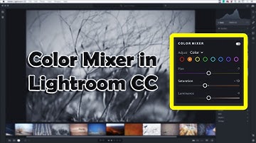 How To Use the Color Mixer in Lightroom CC | Loyal Academy |
