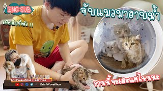 EP. 5 จับลูกแมว 2 เดือน อาบน้ำ และภารกิจทำความสะอาดบ้านครั้งใหญ่#Kristperawat #roidmi #mentagram