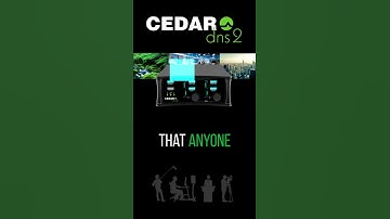 The DNS 2 dialogue noise suppressor | CEDAR Audio