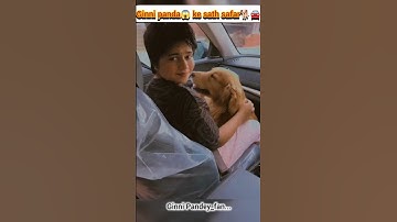 Ginni panda😱 ke sath Safar🐕🚘 #ginnipandey #shorts #reaction