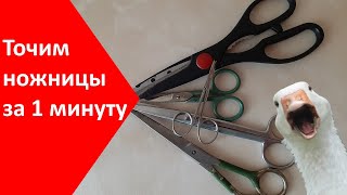 Как ЗАТОЧИТЬ НОЖНИЦЫ В домашних условиях, что делать если ножницы не режут Правильная заточка ножниц