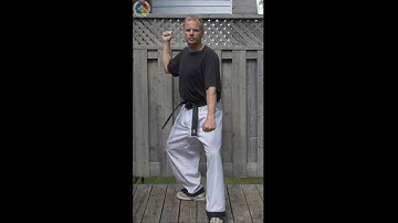 Taekwondo: Hapkido: Foundations: Back-fist back strike and low block in L-stance - front view