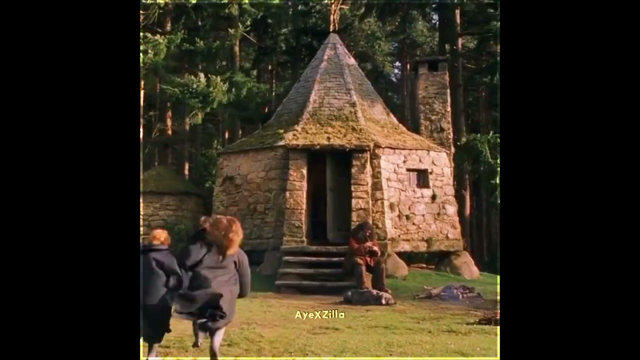  Before Vs After The Battle Of Hogwarts