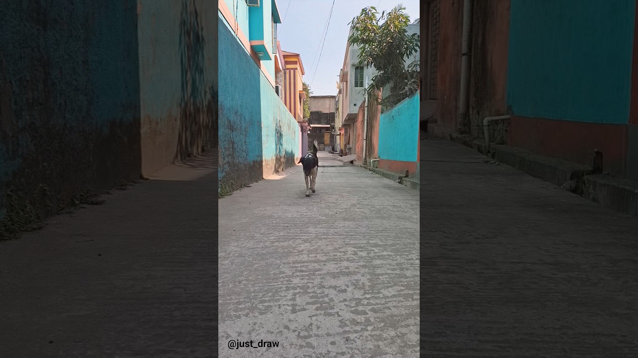 Yeh Hai apna Dogesh Vai 