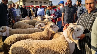 اجي تشوف اثمنة الحولي العيد من رحبة الغنم حد السوالم اقليم برشيد كاين من 900 درهم والمليح كاين