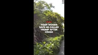 Tiger Woods says he called Trump after crash