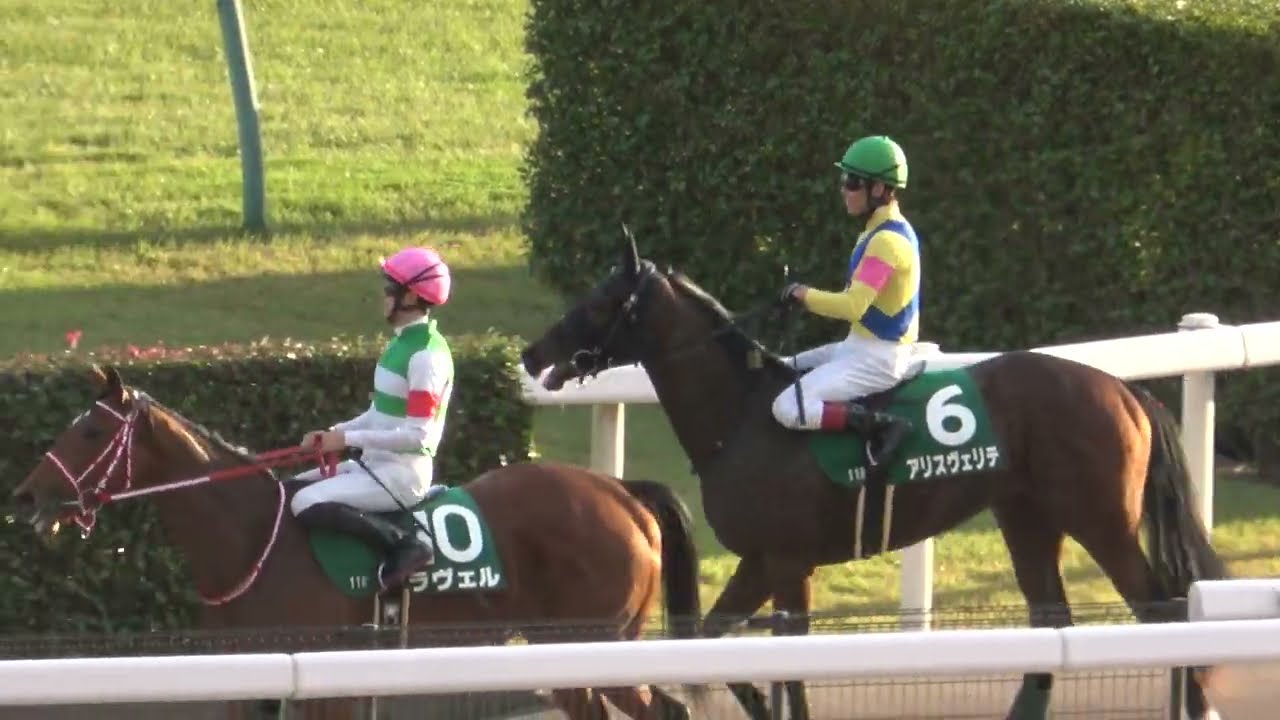 ★超希少★ リバティアイランド他９頭 アルテミスステークス ☆現地単勝馬券×10 ☆超希少☆ リバティアイランド他9頭 アルテミスステークス ☆現地