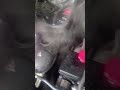 لا ترتكب هذا الخطأ عند فحص سائل تبريد سيارتك؟ لا ترتكب هذا الخطأ عند فحص سائل تبريد سيارتك؟