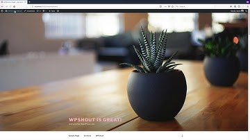Install a WordPress Audit Log