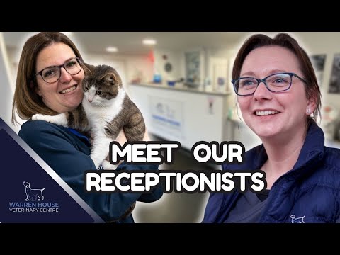 Veterinary Receptionist Job Near Me