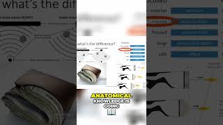 Famous From Focused to Radial: Shockwave Therapy Comparison and Benefits Profile