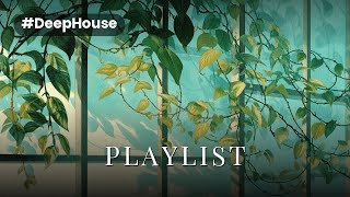 The Sunlit Greenhouse Aisle 🌿 Deep & Soft House for a Lazy Day screenshot 5