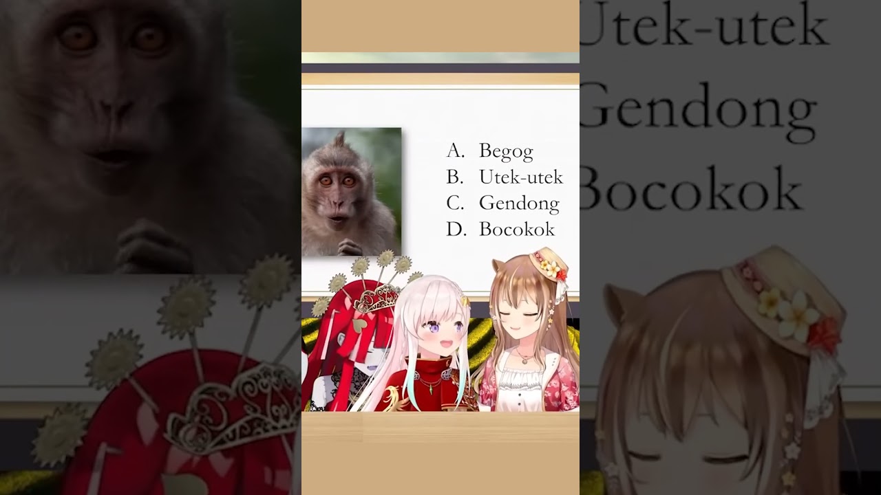 "Ih begog sia" Ayunda Risu 2024