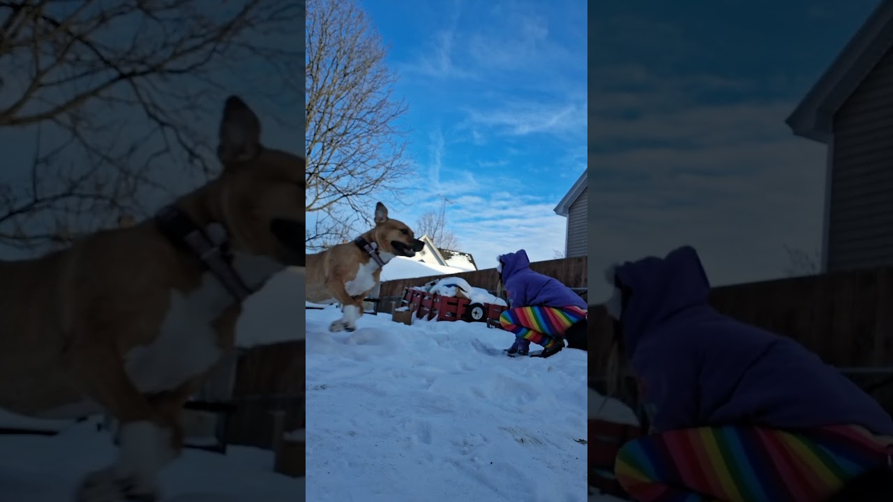 ᒪOOK ค੮ ႵႹჹ აႬႸ~   