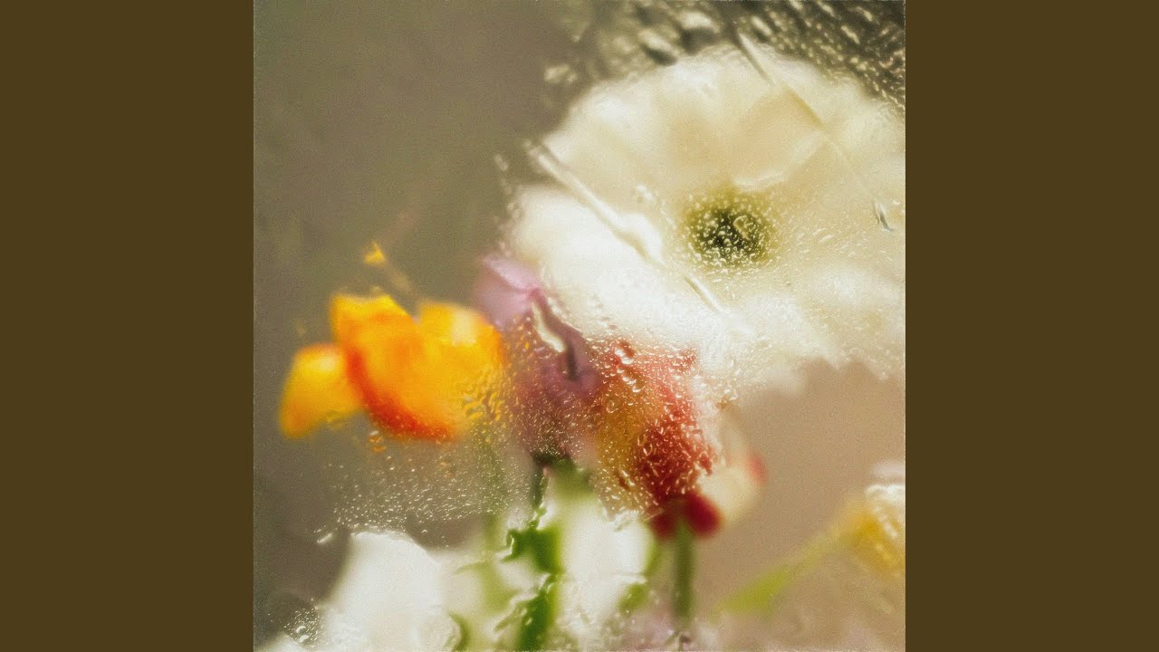 rainfall auf YouTube ansehen rainfall auf YouTube ansehen