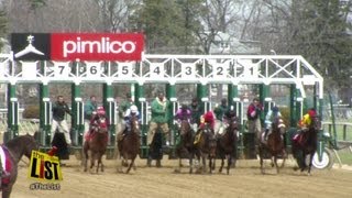 10 things to do at Pimlico Race Course Preakness Pitbull Decanter Wine Fest