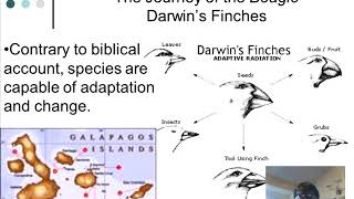18  Evolution 101
