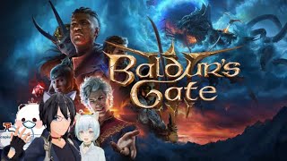 [Baldur's Gate 3] Saving Shadowheart's Parents (Act 3) [#33]