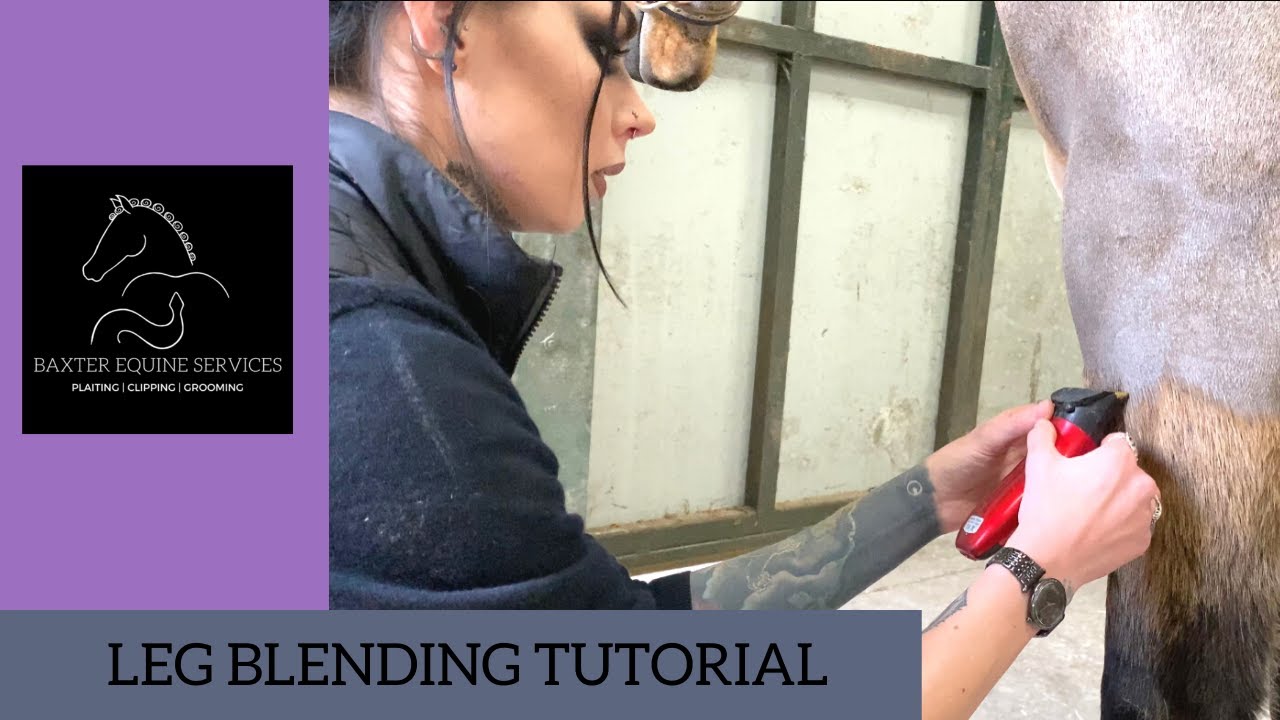LEG BLENDING | a basic guide