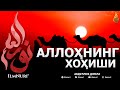 АЛЛОҲНИНГ ХОҲИШИ - АБДУЛЛОҲ ДОМЛА