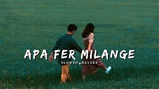 APA Fer Milaange | Slowed+ Reverb | Lofi Songs | Savi Kahlon