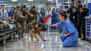SEALs Couldn't Stop the K9 — Until a Rookie Nurse Whispered “Ranger” and Everything Changed