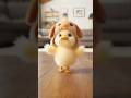 #duckdance #duck #dog #aramsamsam