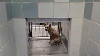 acs A683851