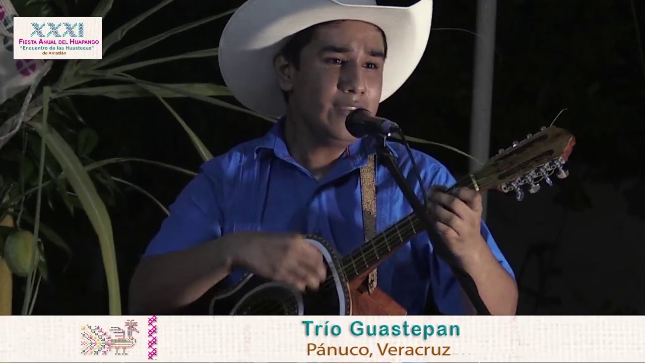 Escuchen este Zacamandú  por el Trío Guastepán en Amatlán