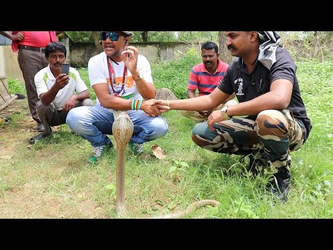झारखंड-का-कोबरा-सांप-बहुत-ही-गुस्से-वाला-है-|-jharkhand-part-6
