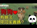 【薩爾達傳說 王國之淚】林克有辦法把可愛的狗狗綁架回家養嗎？ Speed Run【地方熊貓】Tears of the Kingdom ティアーズ オブ ザ キングダム