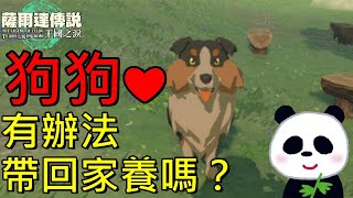 【薩爾達傳說 王國之淚】林克有辦法把可愛的狗狗綁架回家養嗎？ Speed Run【地方熊貓】Tears of the Kingdom ティアーズ オブ ザ キングダム