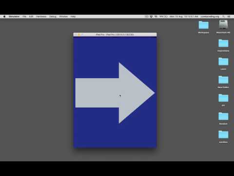 How to Develop the $1.4 million TSA Randomizer App in 5 Minutes