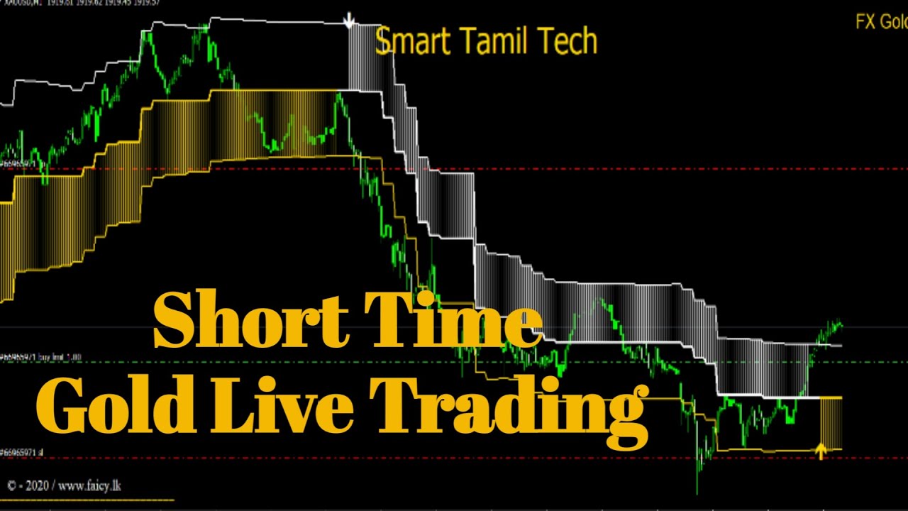 Gold Live Trading - Fx Gold Scalping Signal Indicator - YouTube
