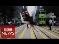 What does freedom look like? BBC News