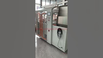 #shorts Automatic case packaging machine factory-Santa Pack