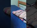 Отдых у реки Оки с друзьями.#отдых #друзья #дружба