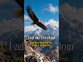 Freedom of Persia Shorts | Persian Sufi Fusion | Jumping Jazz #iran #persianmusic #arabicmusic