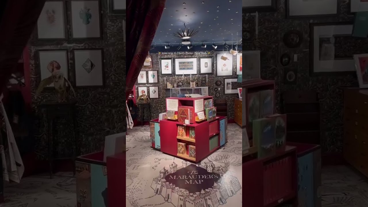 My Mini Harry Potter New York Shop Trip 