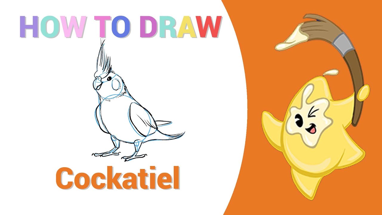 Step-by-Step Guide: How to Draw a Realistic Cockatiel (Easy steps using basic shapes.)